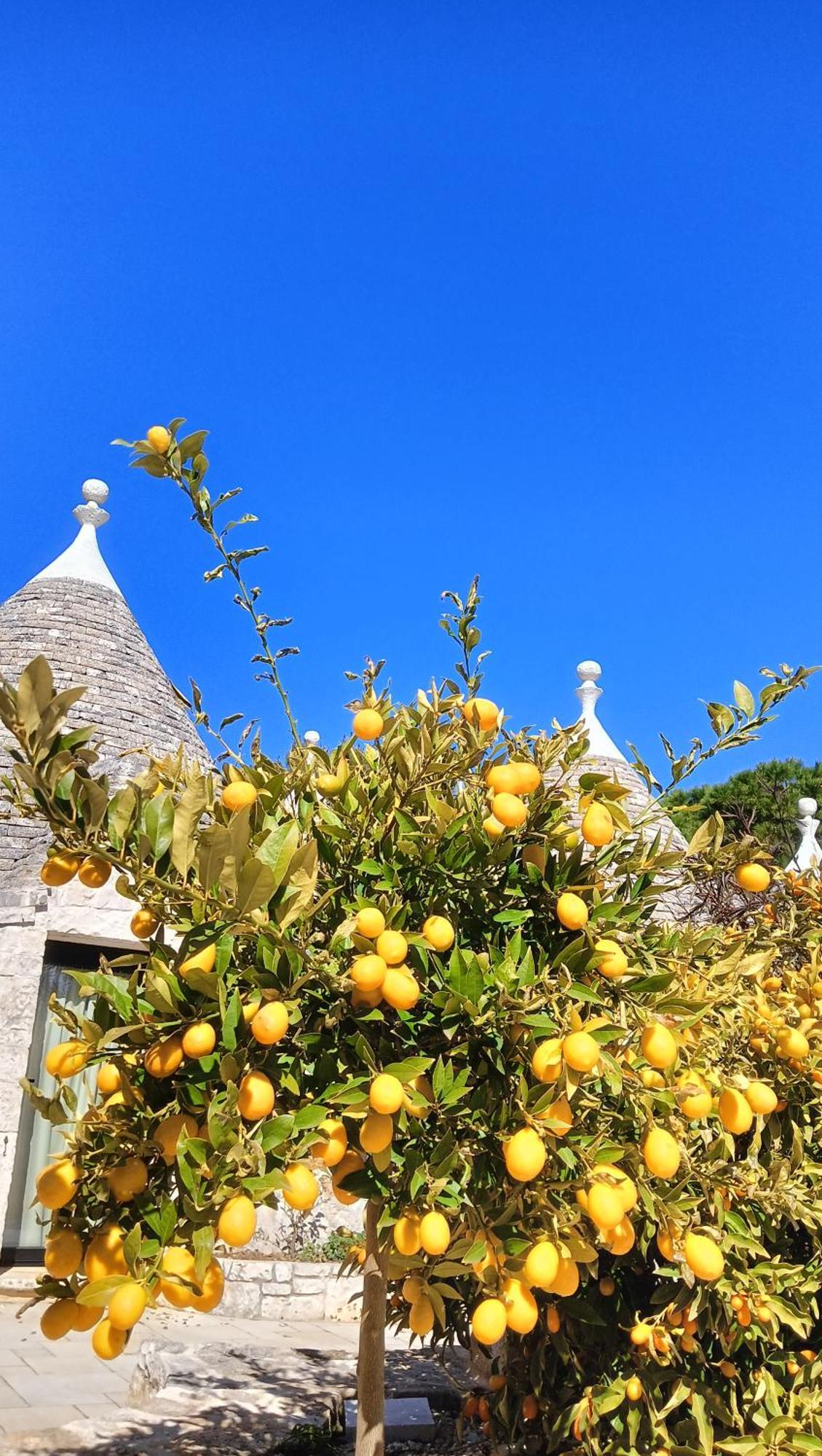 Trullo Bosco Libero Ostuni Villa Eksteriør billede