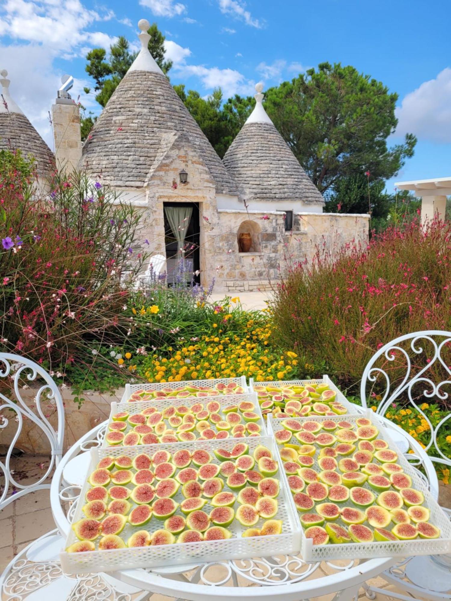 Trullo Bosco Libero Ostuni Villa Eksteriør billede